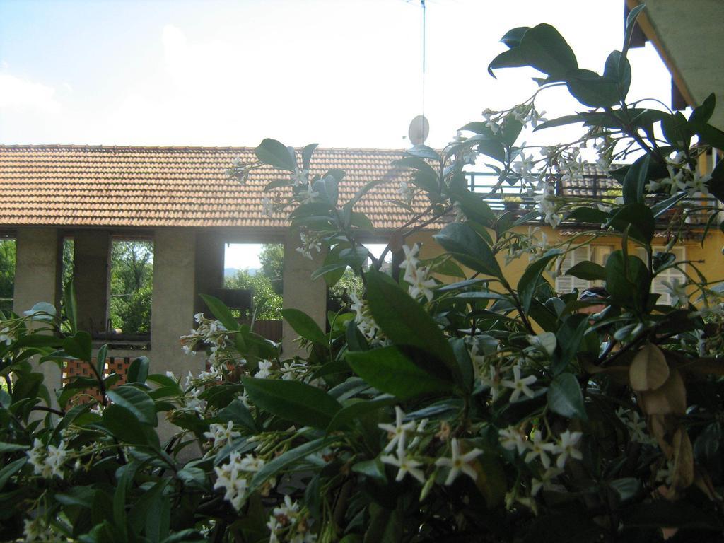 Fattoria Del Pino Orta San Giulio Exterior photo