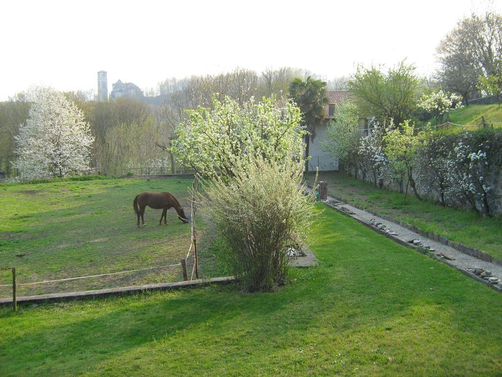 Fattoria Del Pino Orta San Giulio Exterior photo